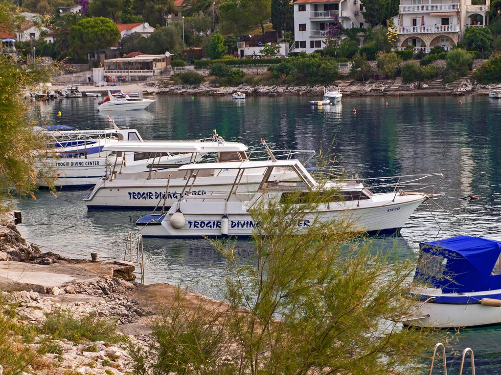Clematis Trogir