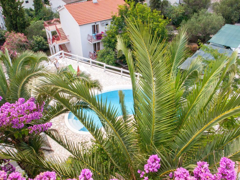 Clematis * Trogir