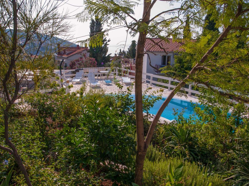 Apartament Clematis