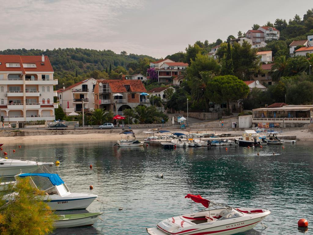 Clematis * Trogir
